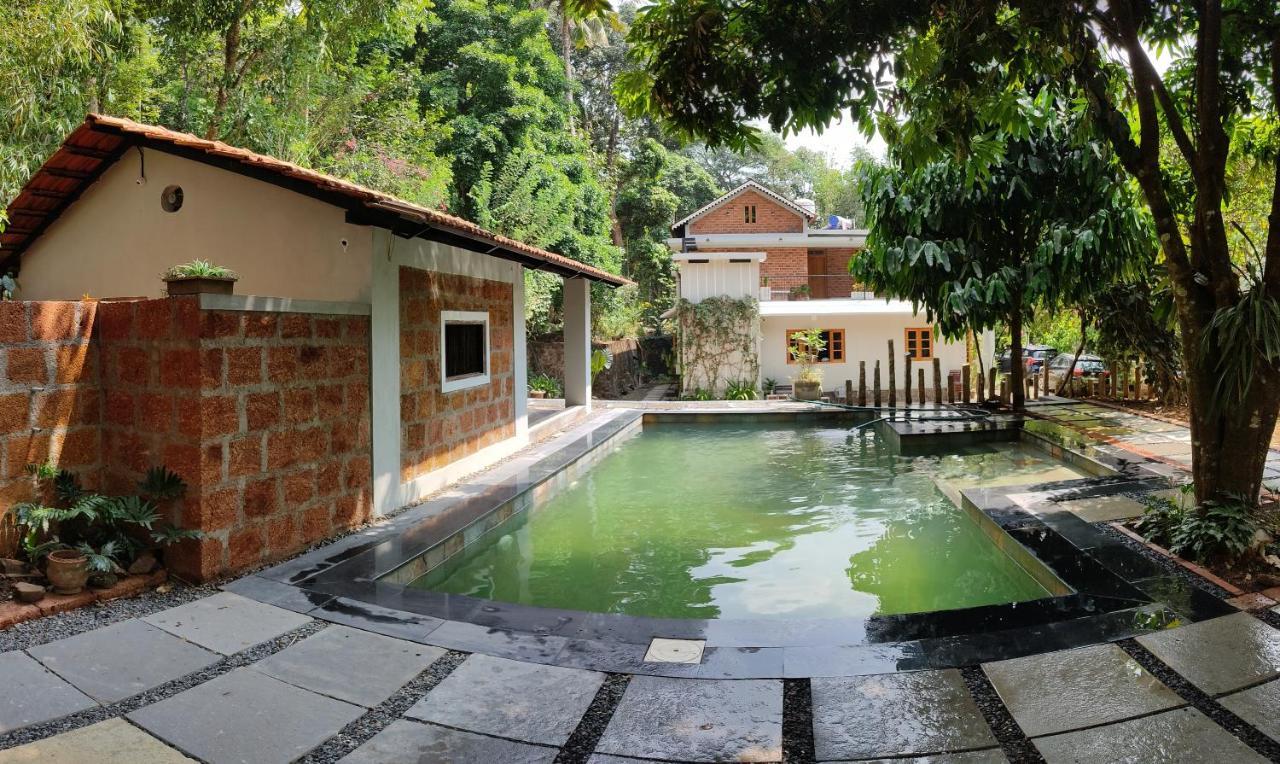 The Motville Pulpally Luaran gambar
