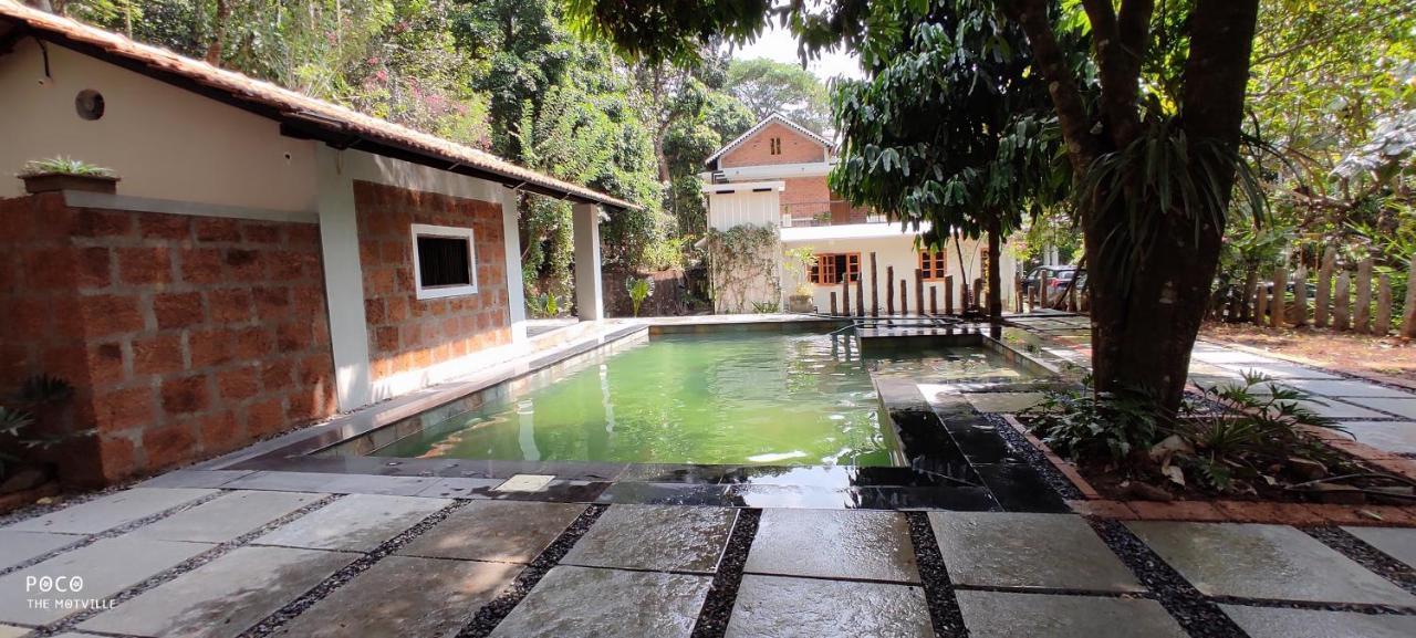 The Motville Pulpally Luaran gambar